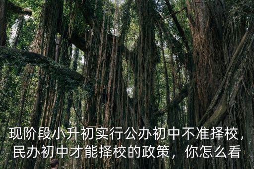現(xiàn)階段小升初實(shí)行公辦初中不準(zhǔn)擇校，民辦初中才能擇校的政策，你怎么看
