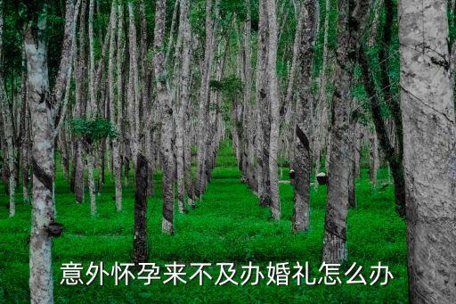 意外懷孕來不及辦婚禮怎么辦