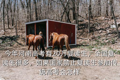 今年河南高考有20萬復(fù)讀生，全國復(fù)讀生很多，如果國家禁止復(fù)讀生參加傳統(tǒng)高考會怎樣