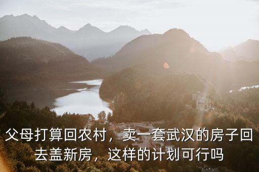 父母打算回農村，賣一套武漢的房子回去蓋新房，這樣的計劃可行嗎