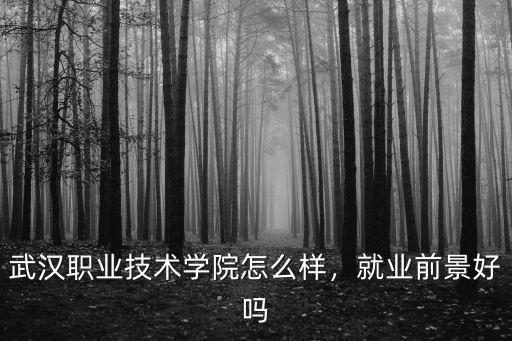 武漢職業技術學院怎么樣，就業前景好嗎