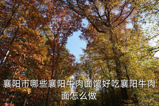 襄陽市哪些襄陽牛肉面館好吃襄陽牛肉面怎么做
