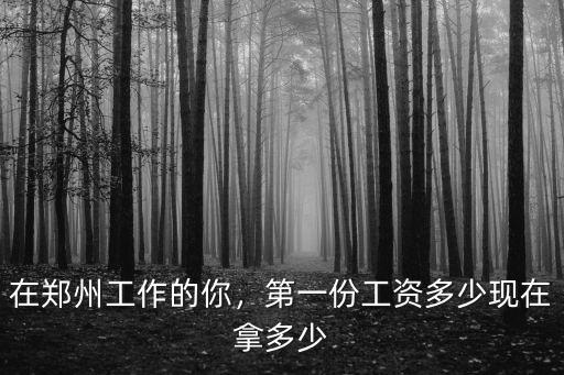 鄭州衛(wèi)建委上班工資多少,第一份工資多少