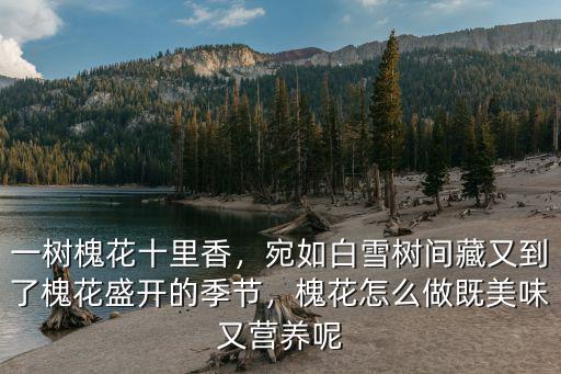 一樹槐花十里香，宛如白雪樹間藏又到了槐花盛開的季節，槐花怎么做既美味又營養呢