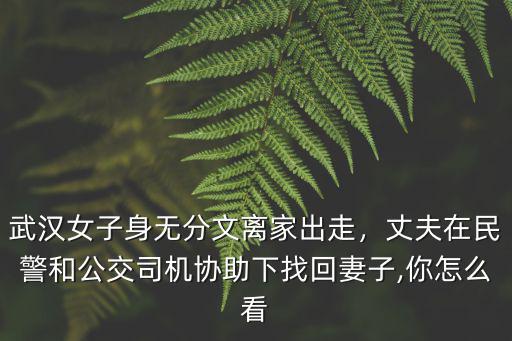 武漢女子身無分文離家出走，丈夫在民警和公交司機協助下找回妻子,你怎么看
