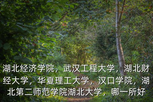 湖北第二學院師范學院怎么樣,湖北第二師范學院湖北大學