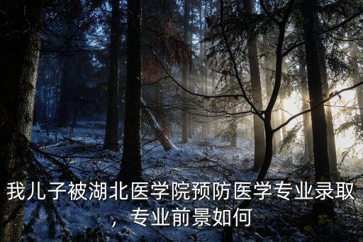 我兒子被湖北醫(yī)學院預防醫(yī)學專業(yè)錄取，專業(yè)前景如何