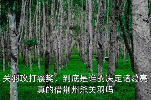 關(guān)羽攻打襄樊，到底是誰的決定諸葛亮真的借荊州殺關(guān)羽嗎