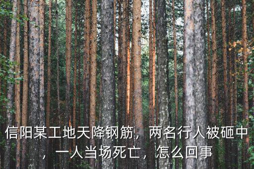 信陽某工地天降鋼筋，兩名行人被砸中，一人當場死亡，怎么回事