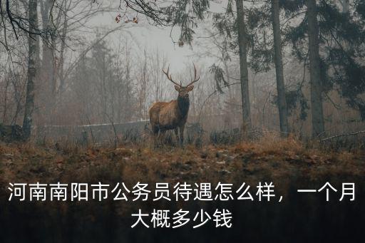 河南南陽(yáng)市公務(wù)員待遇怎么樣，一個(gè)月大概多少錢