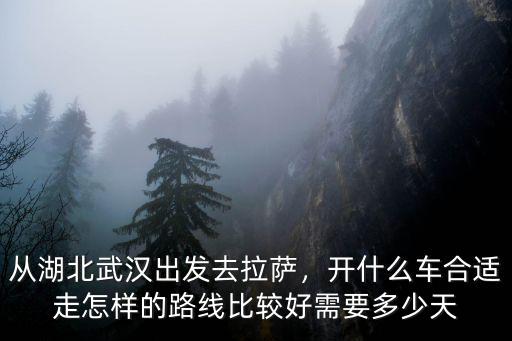 從湖北武漢出發(fā)去拉薩，開(kāi)什么車合適走怎樣的路線比較好需要多少天