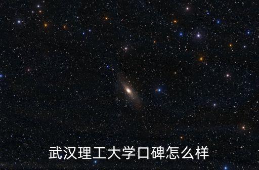 武漢理工大學口碑怎么樣