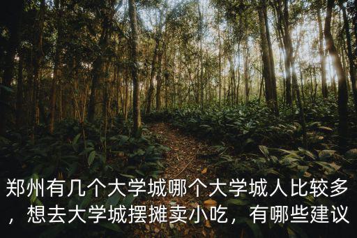 鄭州有幾個大學城哪個大學城人比較多，想去大學城擺攤賣小吃，有哪些建議