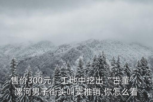 售價300元！工地中挖出“古董”，漯河男子街頭叫賣推銷,你怎么看