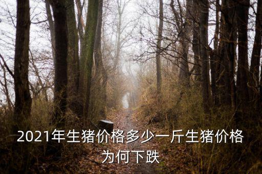 2021年生豬價格多少一斤生豬價格為何下跌