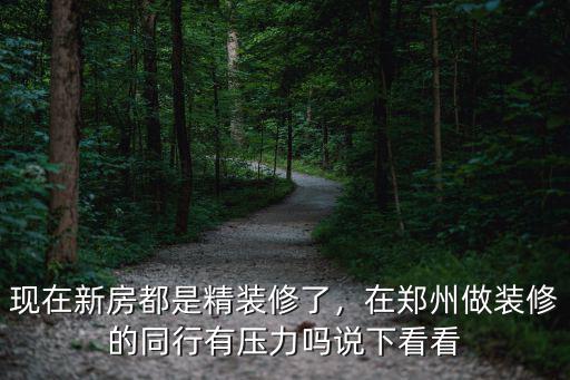 現在新房都是精裝修了，在鄭州做裝修的同行有壓力嗎說下看看