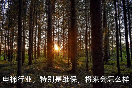 電梯行業(yè)，特別是維保，將來會怎么樣