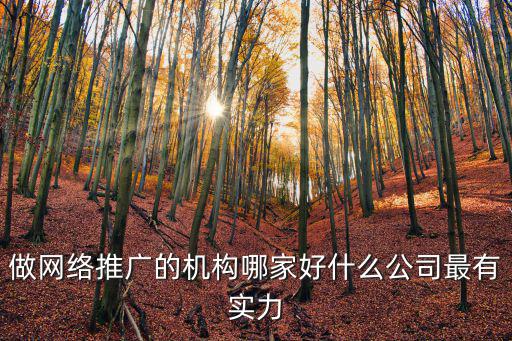做網絡推廣的機構哪家好什么公司最有實力