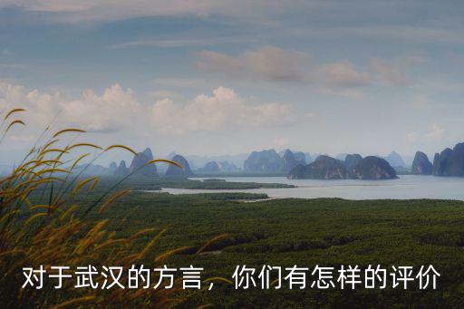 對(duì)于武漢的方言，你們有怎樣的評(píng)價(jià)