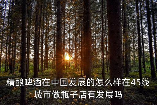 精釀啤酒在中國發展的怎么樣在45線城市做瓶子店有發展嗎