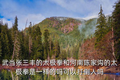 武當張三豐的太極拳和河南陳家溝的太極拳是一樣的嗎可以打倒人嗎