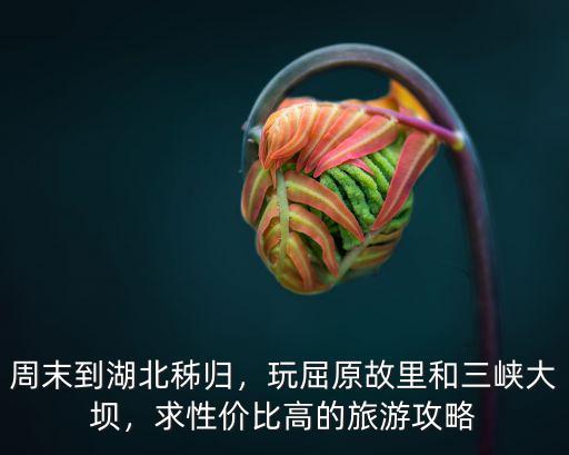 周末到湖北秭歸，玩屈原故里和三峽大壩，求性價比高的旅游攻略