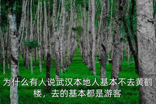 為什么有人說武漢本地人基本不去黃鶴樓，去的基本都是游客