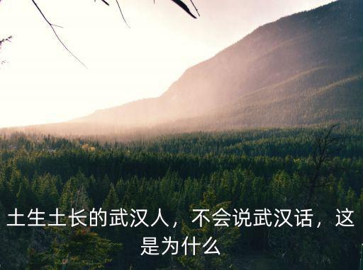 土生土長的武漢人，不會說武漢話，這是為什么