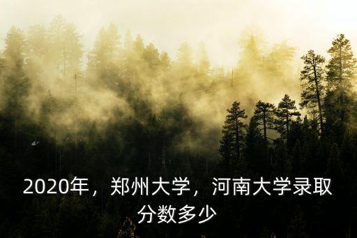 2020年，鄭州大學(xué)，河南大學(xué)錄取分數(shù)多少