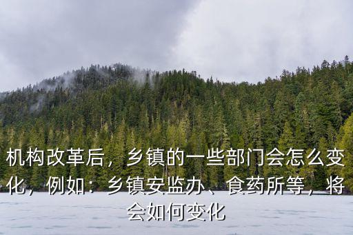機構(gòu)改革后，鄉(xiāng)鎮(zhèn)的一些部門會怎么變化，例如：鄉(xiāng)鎮(zhèn)安監(jiān)辦、食藥所等，將會如何變化