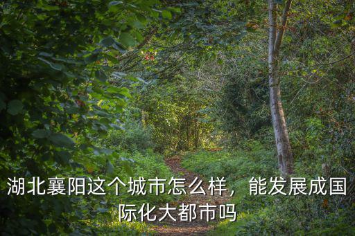 湖北襄陽這個城市怎么樣，能發展成國際化大都市嗎