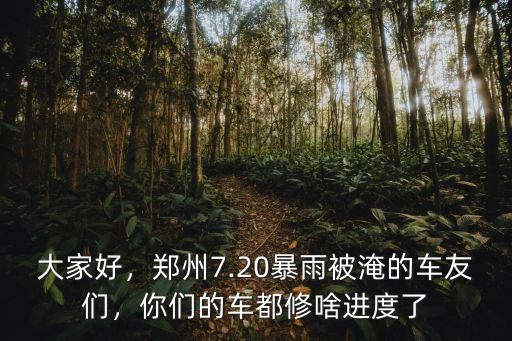 大家好，鄭州7.20暴雨被淹的車友們，你們的車都修啥進(jìn)度了