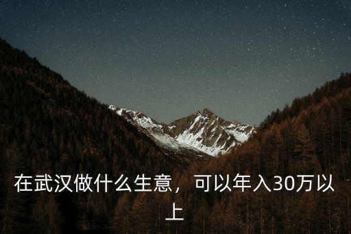 在武漢做什么生意，可以年入30萬以上