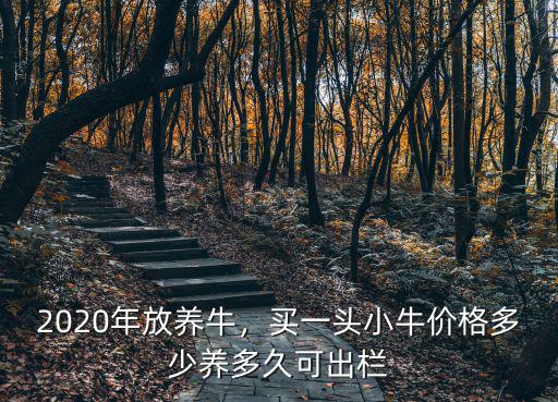 2020年放養牛，買一頭小牛價格多少養多久可出欄