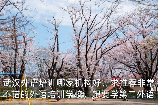 武漢外語培訓哪家機構好，求推薦非常不錯的外語培訓學校，想要學第二外語