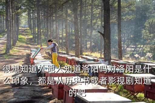 很想知道外地人知道洛陽嗎對洛陽是什么印象，都是從歷史書或者影視劇知道的吧