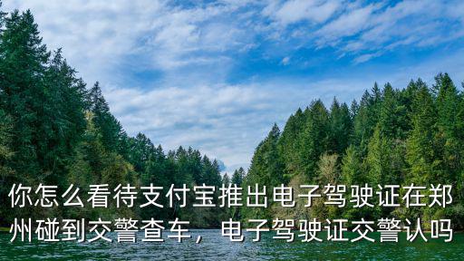 你怎么看待支付寶推出電子駕駛證在鄭州碰到交警查車，電子駕駛證交警認嗎