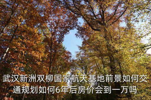 武漢新洲雙柳國家航天基地前景如何交通規(guī)劃如何6年后房價會到一萬嗎