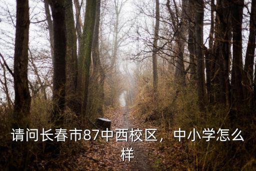 綠園區87中南陽校區怎么樣,中小學怎么樣