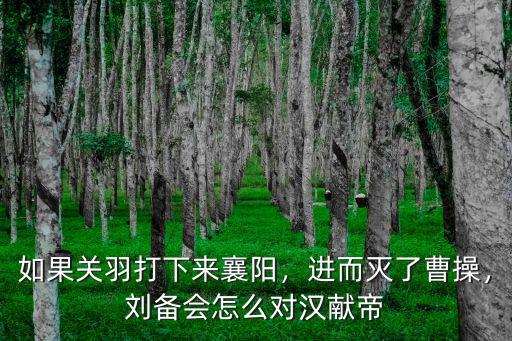 如果關羽打下來襄陽，進而滅了曹操，劉備會怎么對漢獻帝