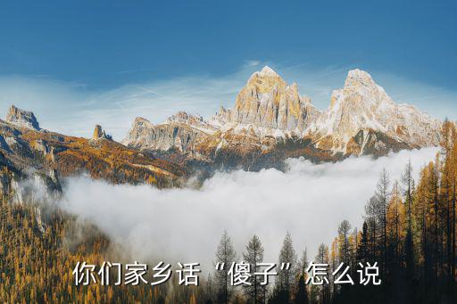 湖北恩施話知道了怎么說,你們家鄉(xiāng)話傻子怎么說