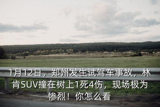 1月12日，鄭州發(fā)生試駕車事故，林肯SUV撞在樹上1死4傷，現(xiàn)場極為慘烈！你怎么看