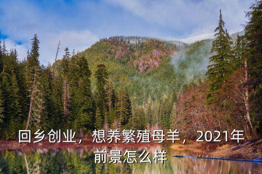 回鄉創業，想養繁殖母羊，2021年前景怎么樣