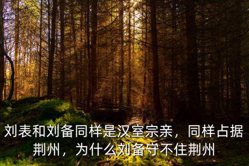 劉表和劉備同樣是漢室宗親，同樣占據荊州，為什么劉備守不住荊州