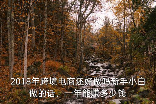 2018年跨境電商還好做嗎新手小白做的話，一年能賺多少錢