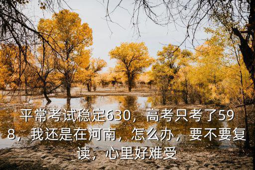 平常考試穩(wěn)定630，高考只考了598，我還是在河南，怎么辦，要不要復(fù)讀，心里好難受