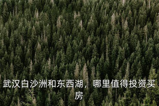 武漢東西湖國(guó)土局待遇怎么樣,武漢白沙洲和東西湖