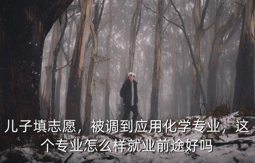 武漢理工應用化學專業(yè)怎么樣,被調到應用化學專業(yè)