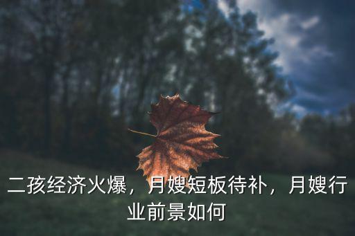 二孩經(jīng)濟(jì)火爆，月嫂短板待補(bǔ)，月嫂行業(yè)前景如何