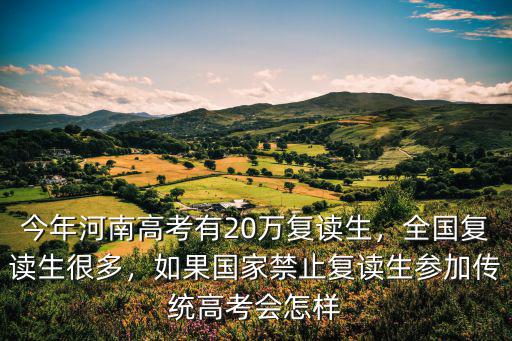 今年河南高考有20萬復讀生，全國復讀生很多，如果國家禁止復讀生參加傳統高考會怎樣